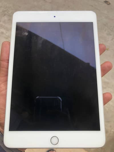 Ipad Mini 5 For Sale 256GB