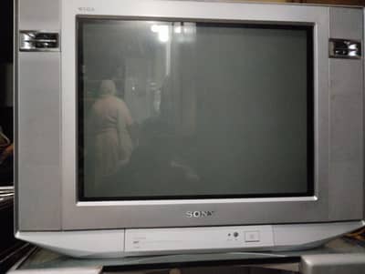 Sony TV With Trolley