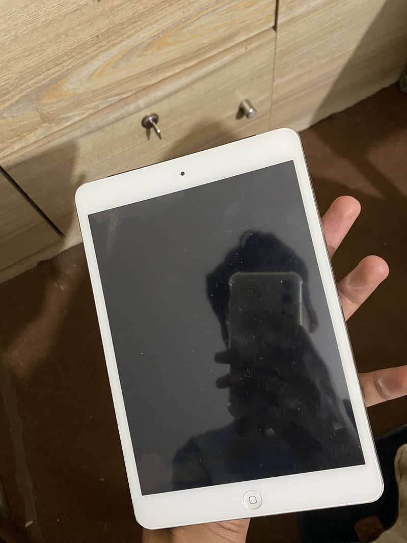 Ipad mini 2 1