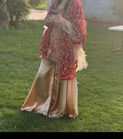 wedding and party wear dresses