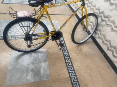 phoenix cycle