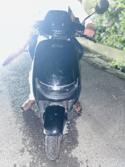 Accedint scutty