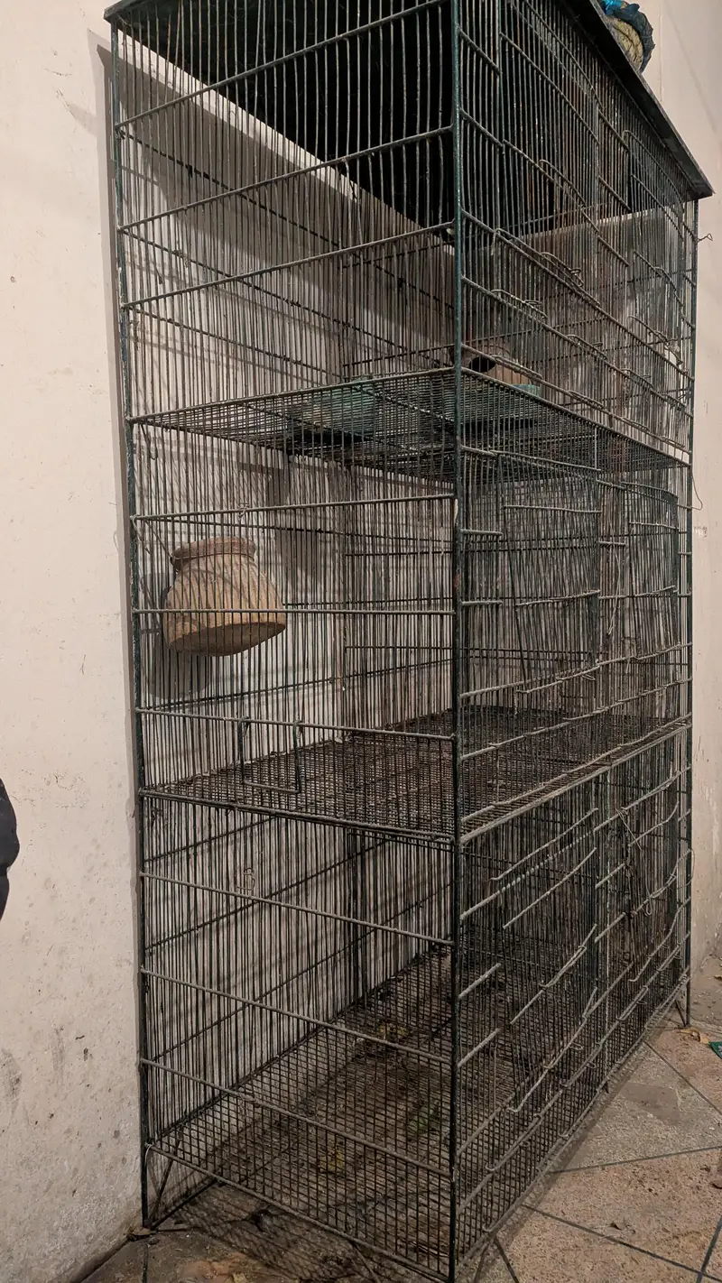 cage for sale