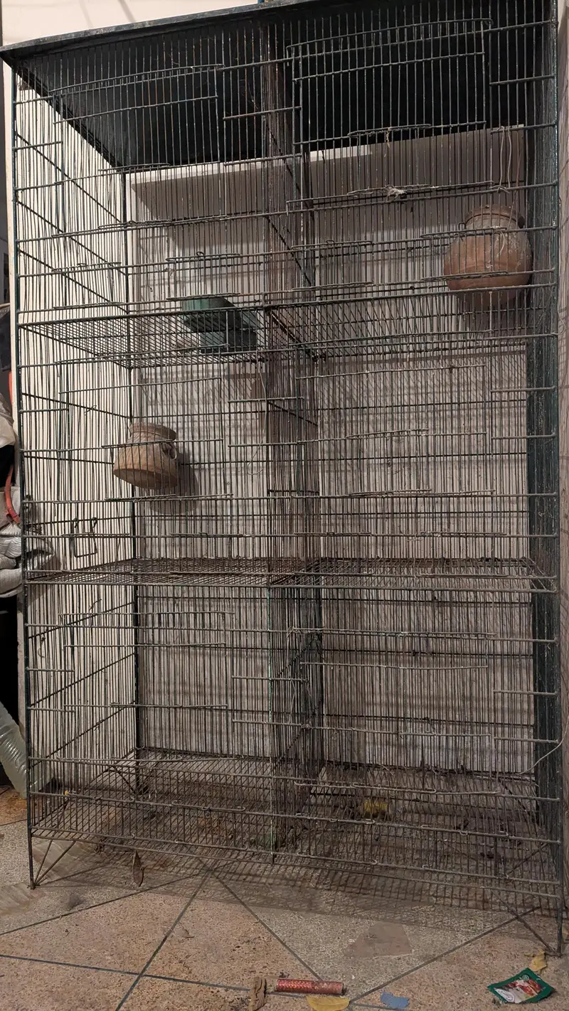 cage for sale — photo 2