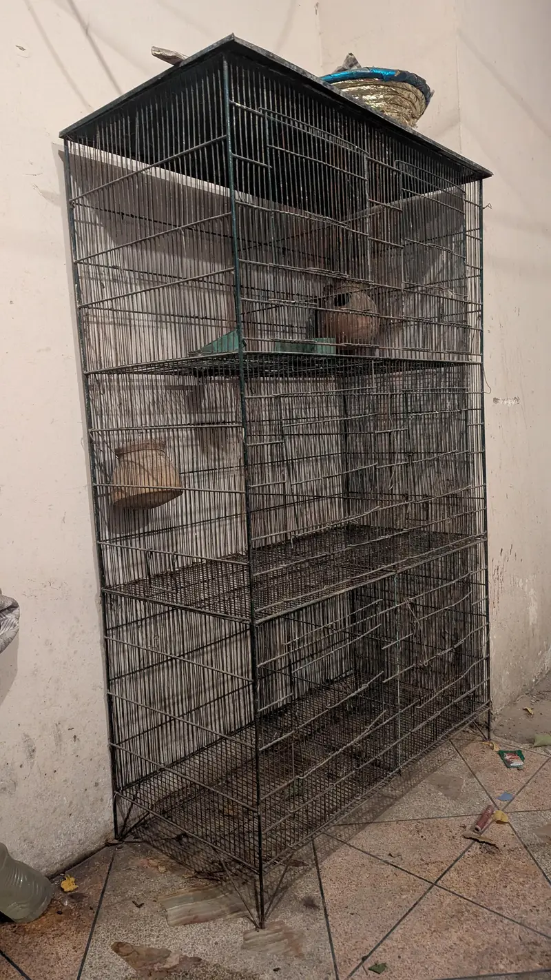 cage for sale — photo 4