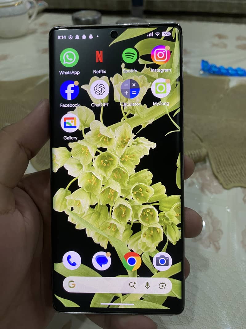 Google Pixel 6 Pro 1