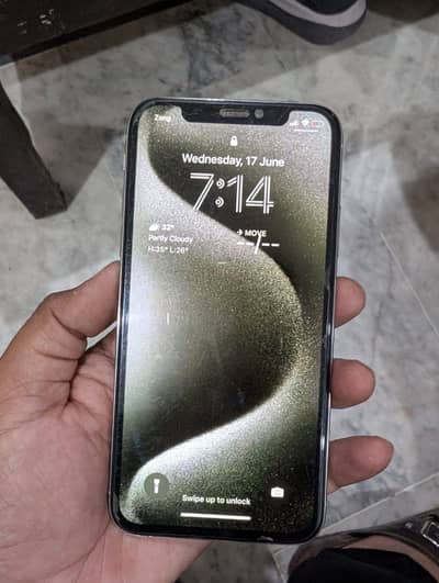 Apple iPhone X