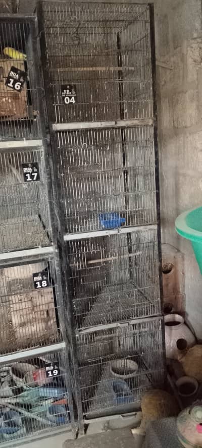 4 potion 2 cage for sale