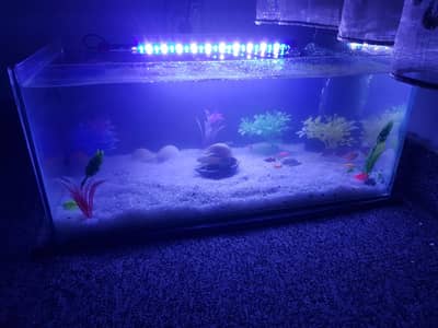 fish tank aquarium for sale