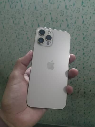 Apple iPhone 12 Pro Max
