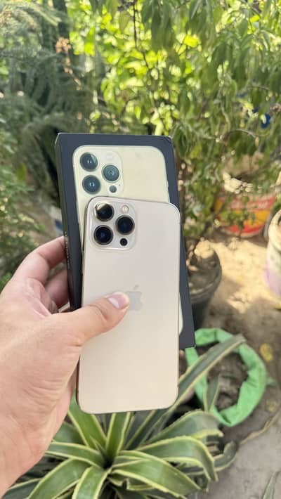 Apple iPhone 13 Pro Max