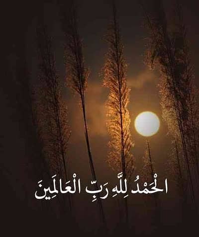 Ramiz Ahmad 
