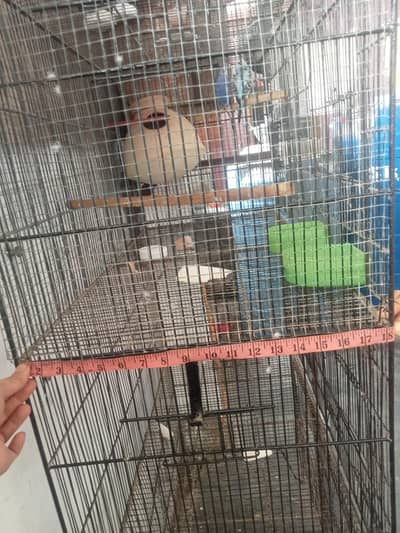 cage for seel