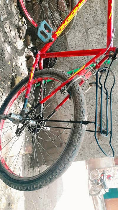 phoenix cycle