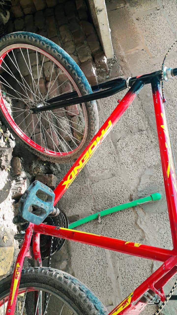 phoenix cycle 1