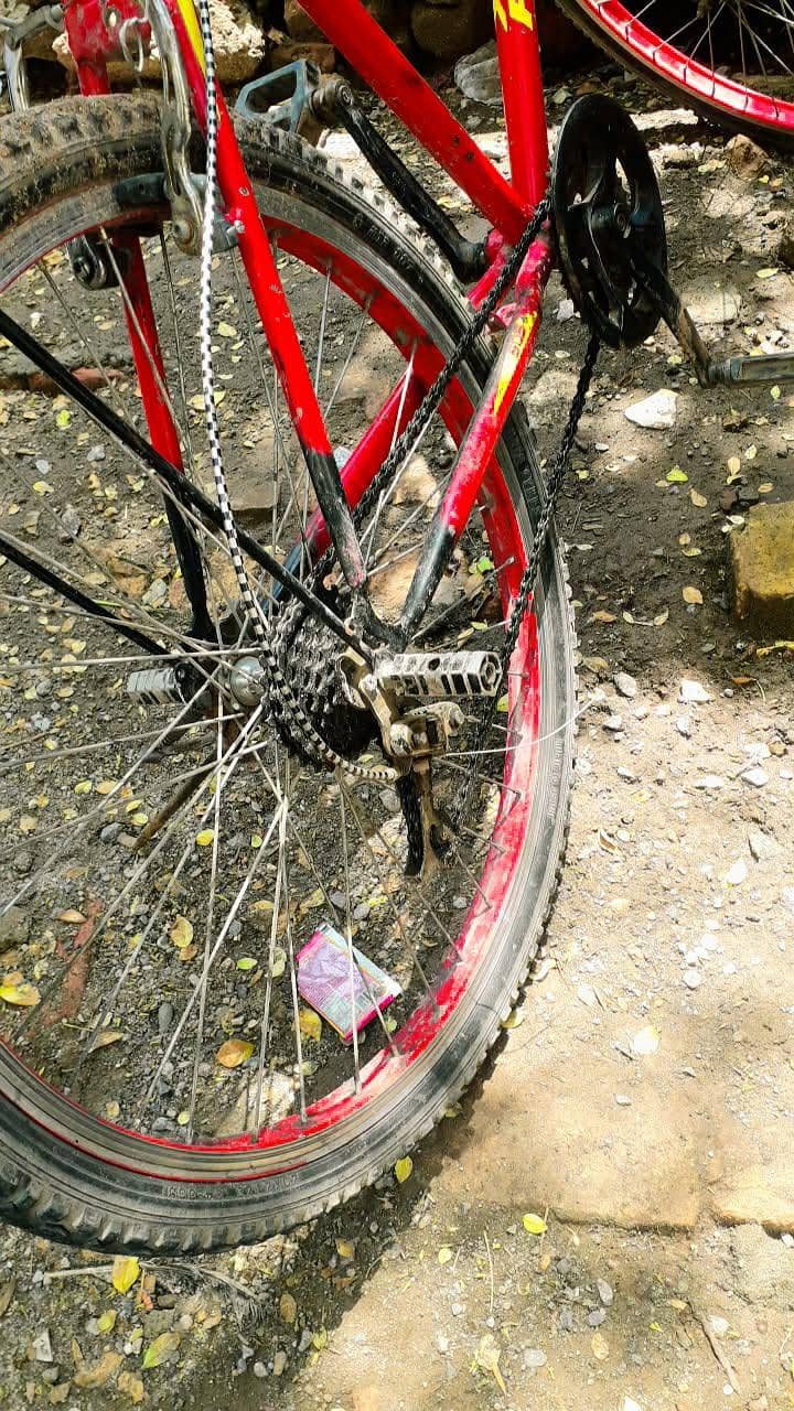 phoenix cycle 3
