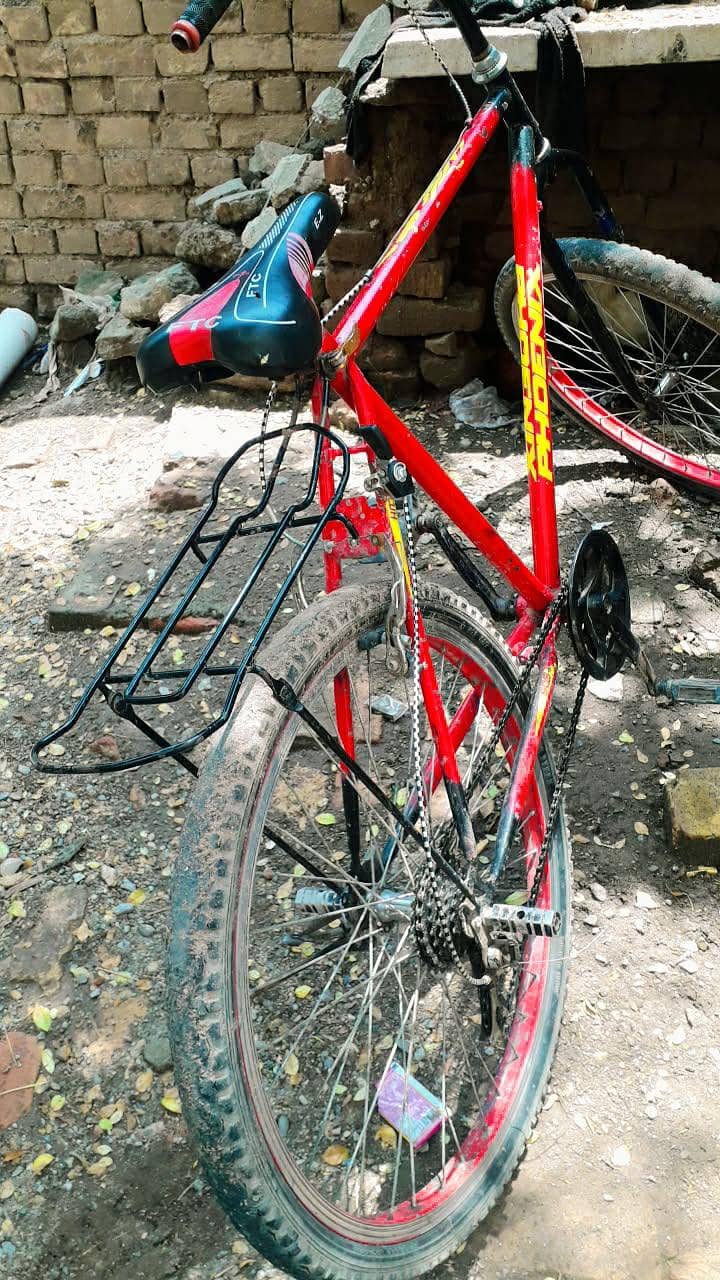 phoenix cycle 4
