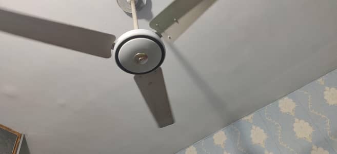 ceiling fans for sale
