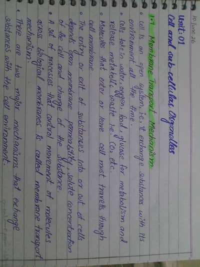 Assignment work