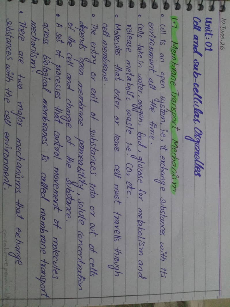 Assignment work 0