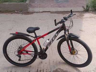 29 Inch Bicycle