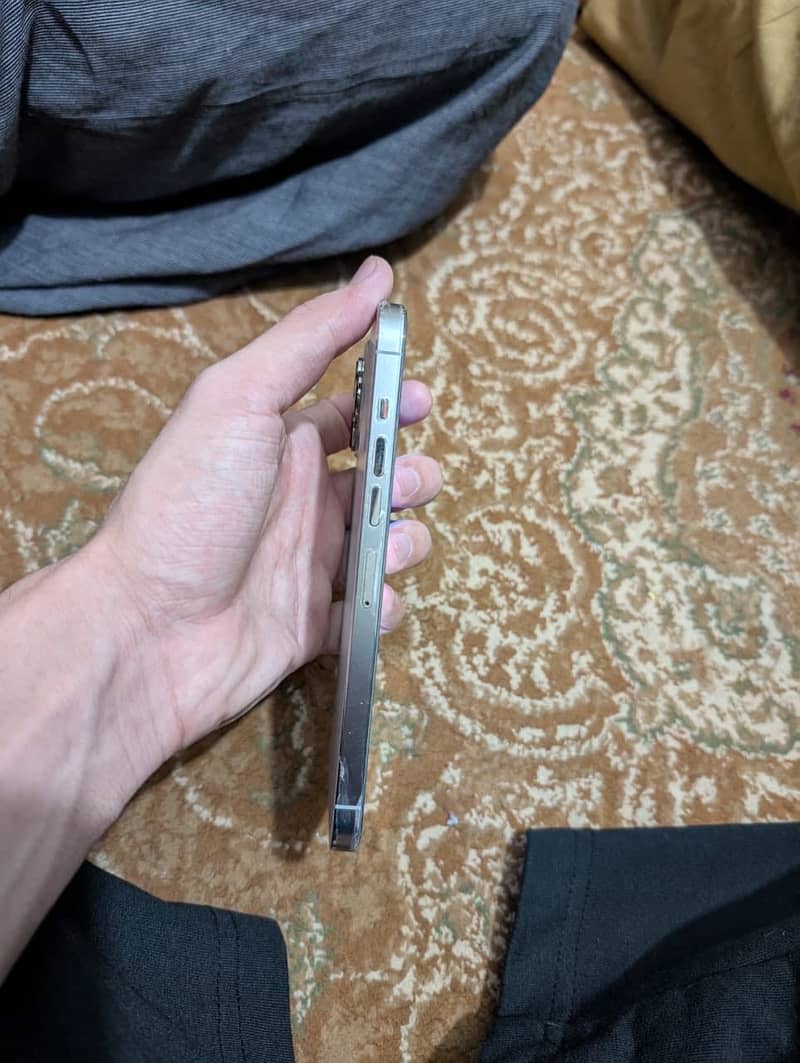 iPhone 13pro max 2