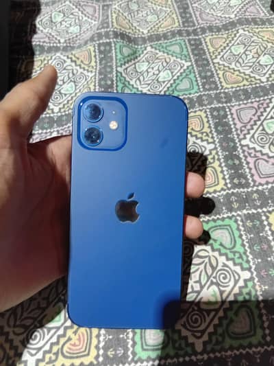 Apple iPhone 12