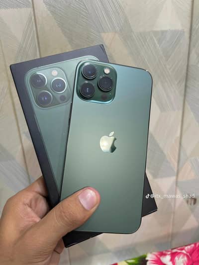 Apple iPhone 13 Pro Max