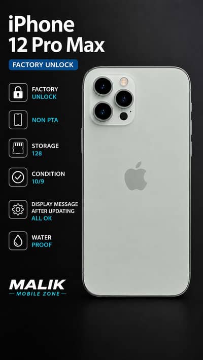 Apple iPhone 12 Pro Max