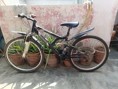 Mountain Bicycle