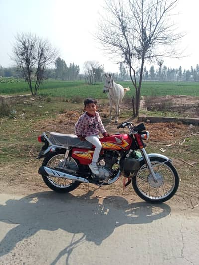 Honda 125