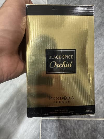 Black spice Orchid