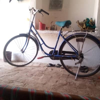 cycle