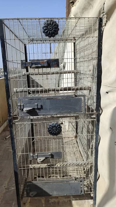 birds cages