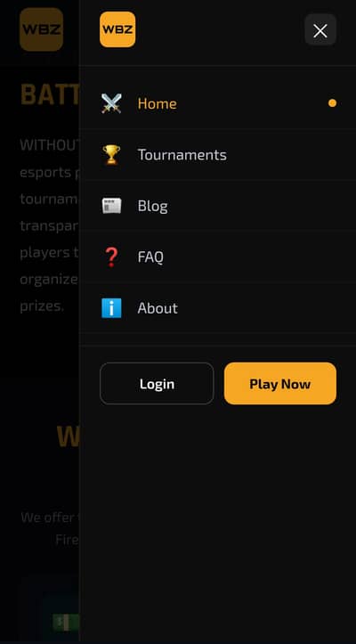 Professional Web Developer React Next. js Firebase