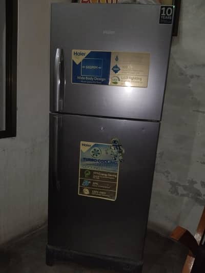 Refrigerator 2 year old medium size big spass