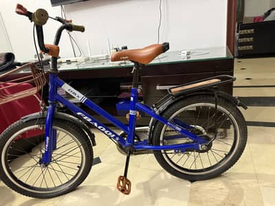 Bicycle