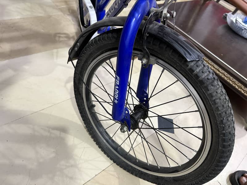 Bicycle 4