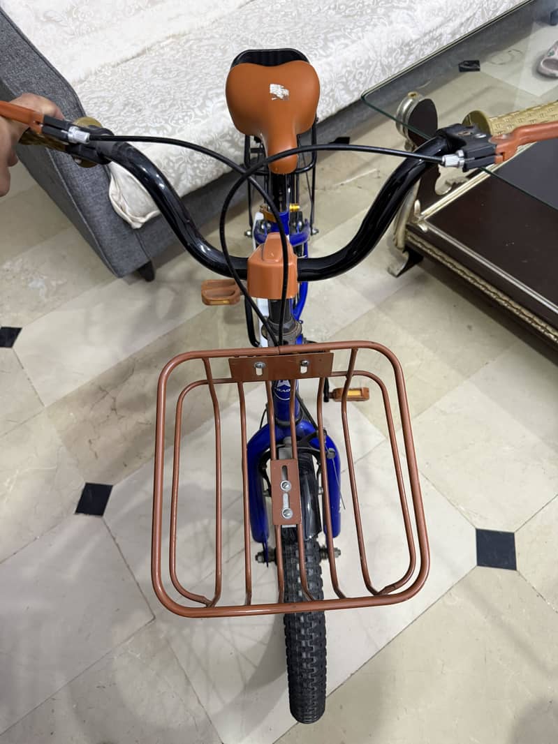 Bicycle 5