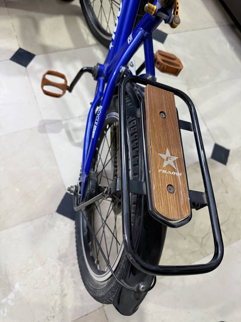 Bicycle 6