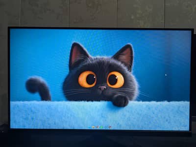 Asus VG259Q5A 24.5 inch 200hz gaming monitor