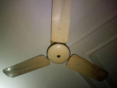Royal ceiling fan 2