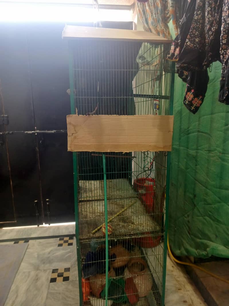 4 portion cage. 1