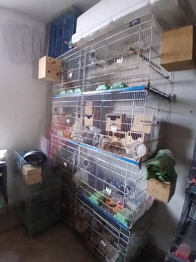 birds cages for all setup sale
