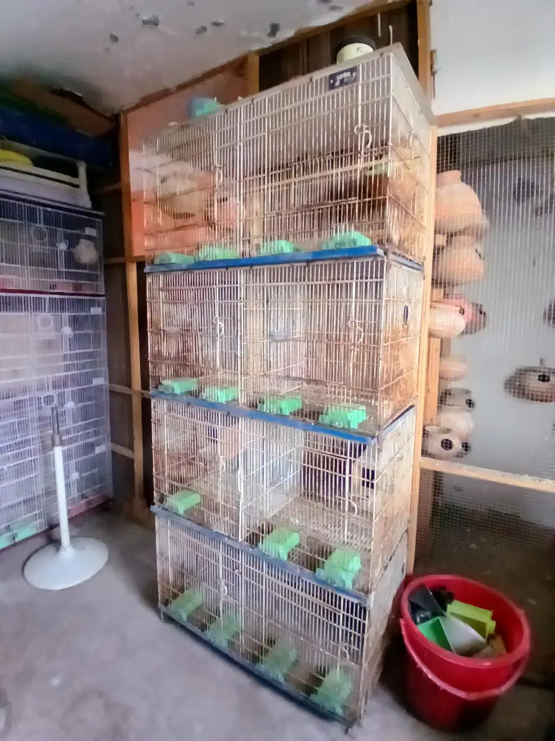 birds cages for all setup sale — photo 2