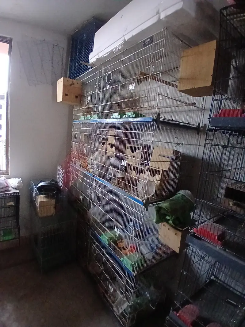 birds cages for all setup sale — photo 6