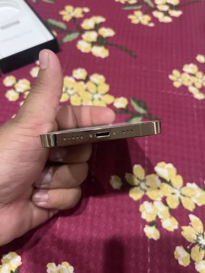 Apple iPhone 13 Pro pta approved