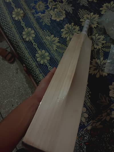 export top grade  Willow bat