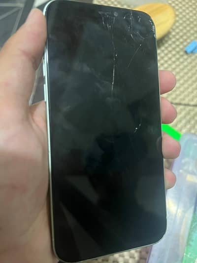 Apple iPhone 12