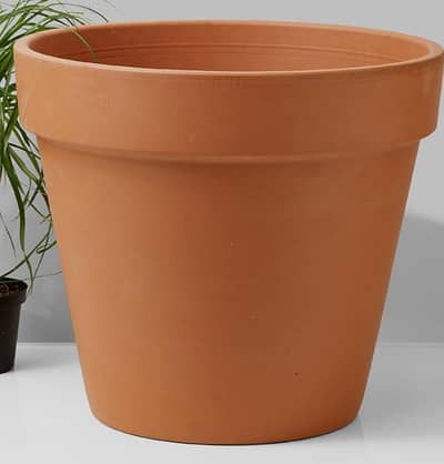 Mud Pots